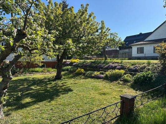 Blick auf Grundstück und Nebengebäude