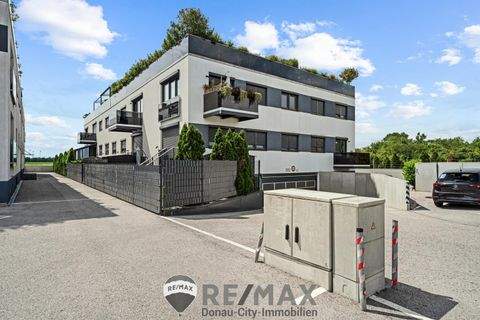 Ebreichsdorf Wohnungen, Ebreichsdorf Wohnung kaufen