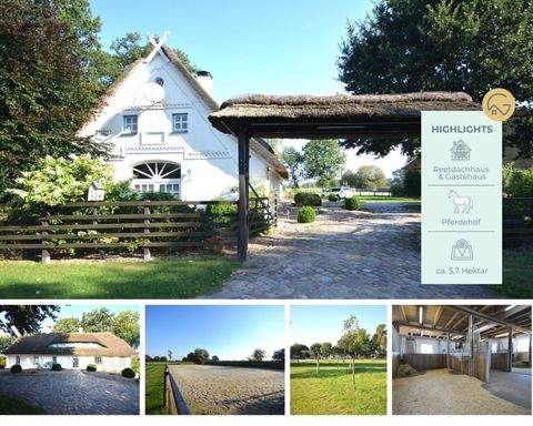 Scheeßel Häuser, Scheeßel Haus kaufen