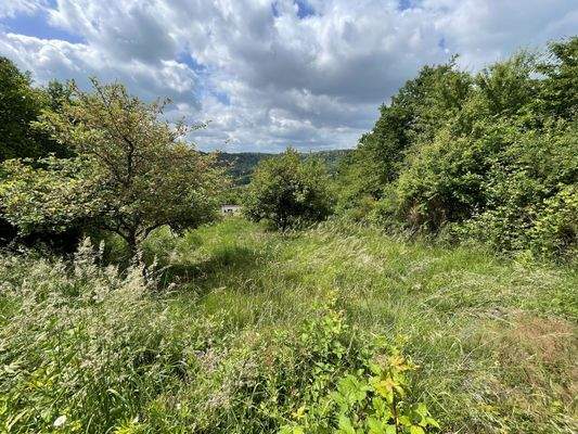 Separates Gartengrundstück