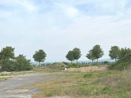 Grundstück Richtung Norden 