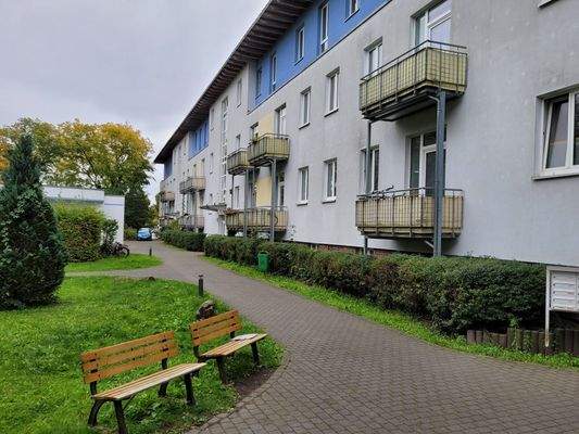 20251007_120050_resized