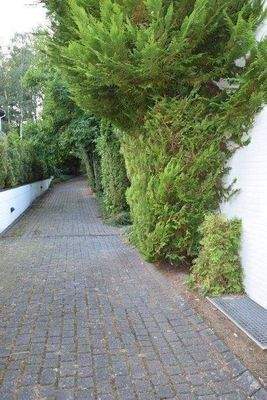 Auffahrt zu Ihrer Villa