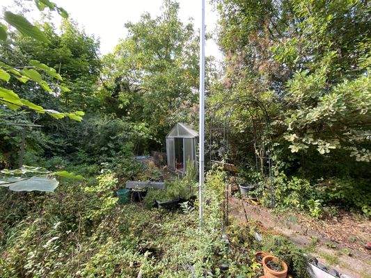 ein Blick in den Garten und hinteren Grundstücksbereich