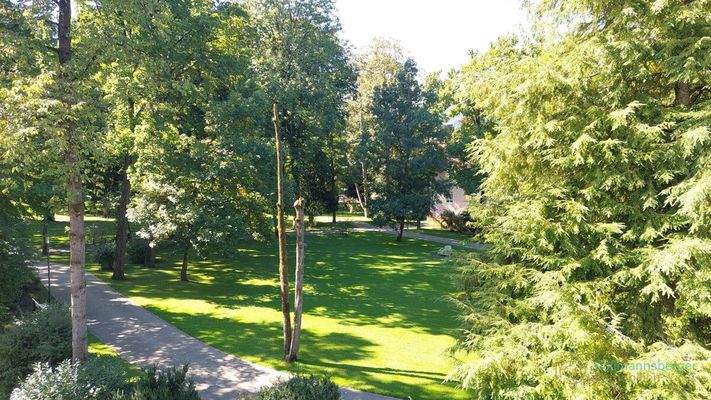 Blick in den *Ortenauer Park*