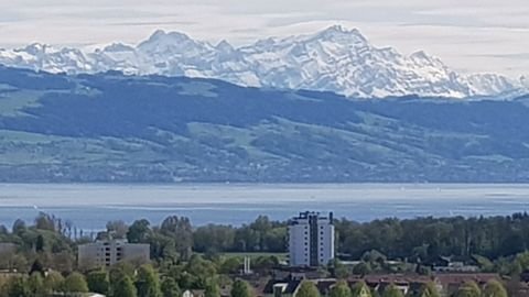 Friedrichshafen (Bunkhofen) Wohnungen, Friedrichshafen (Bunkhofen) Wohnung mieten