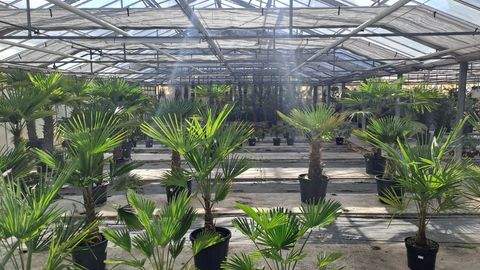 Wiesbaden Halle, Wiesbaden Hallenfläche