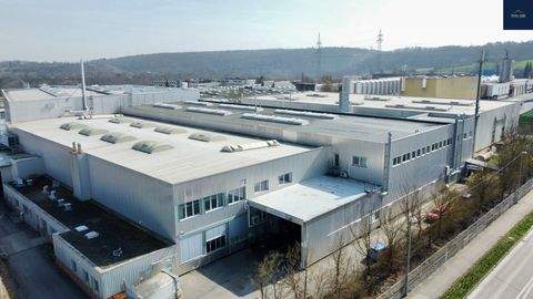 Markgröningen Halle, Markgröningen Hallenfläche