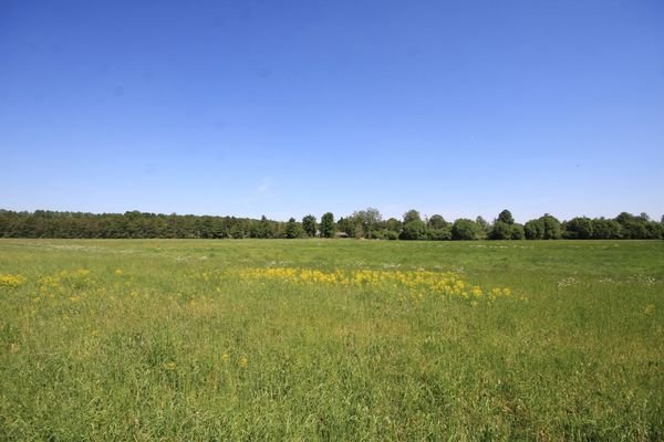 Umgebung 