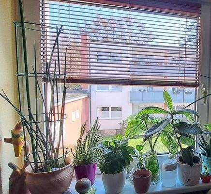 Blick aus Schafzimmerfenster