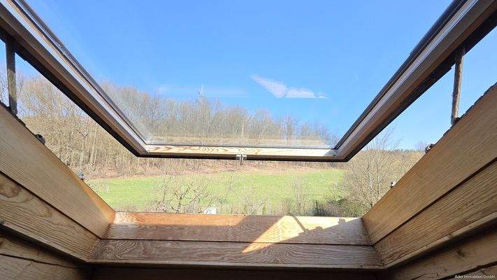 Ausblick Küchenfenster