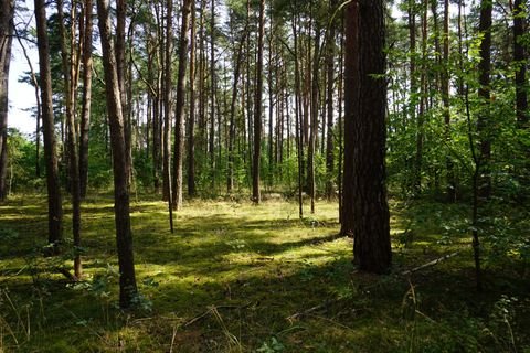 Borkwalde Grundstücke, Borkwalde Grundstück kaufen