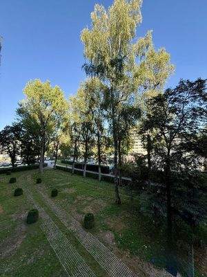 Loggia - Ausblick Norden