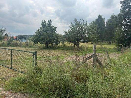 Blick auf das Grundstück