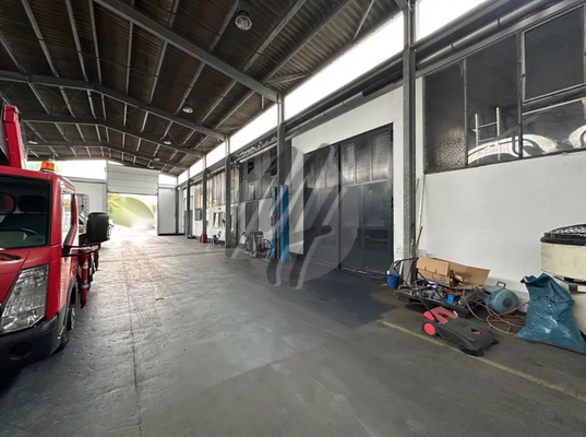 INFOS UNTER: 06171-586000