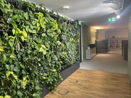 Nachhaltigkeit im Büro