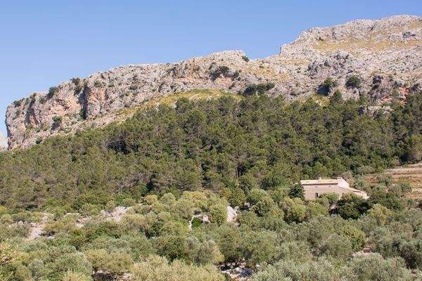 Kensington Mallorca North