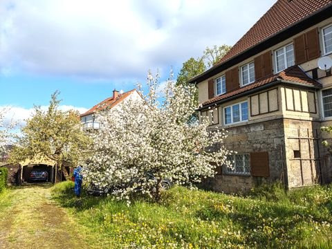 Jena Häuser, Jena Haus kaufen