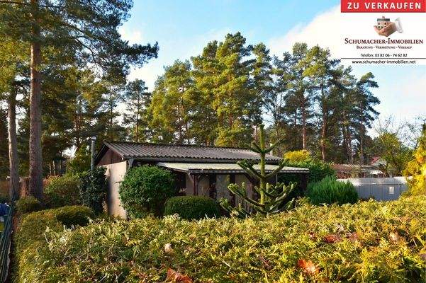 Außenansicht Grundstück