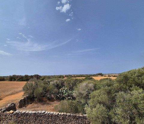 Llucmajor  Grundstücke, Llucmajor  Grundstück kaufen