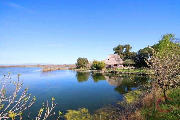 Insel mit Ferienhaus La Valle da pesca (14)