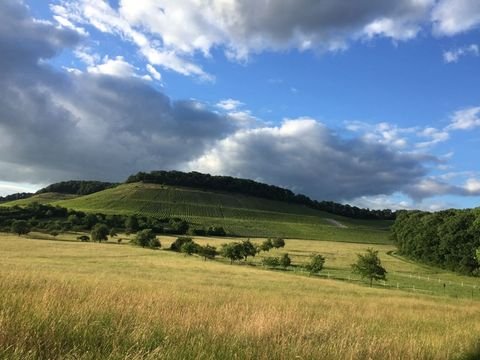 Kraichtal Bauernhöfe, Landwirtschaft, Kraichtal Forstwirtschaft