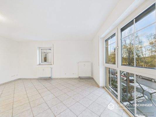 Wohn- und Schlafbereich / Küche