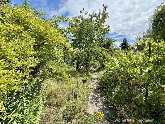 Das Grundstück hat viel Potential