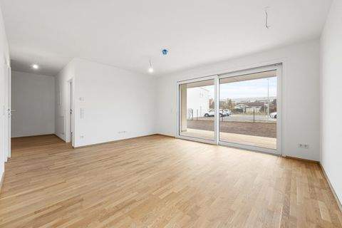 Wiener Neustadt Wohnungen, Wiener Neustadt Wohnung kaufen