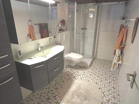 Das Badezimmer im Keller