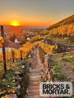 Weinberg in unmittelbarer Umgebung