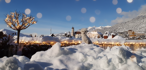 Bludenz Wohnungen, Bludenz Wohnung kaufen