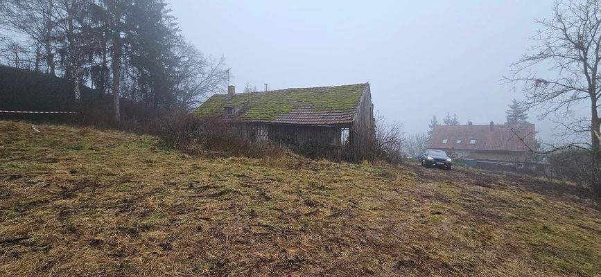 Grundstück mit Altbestand.jpg