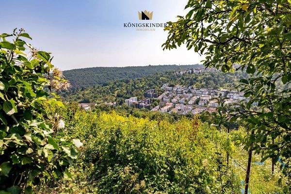 Aussicht_Garten_DSC3937