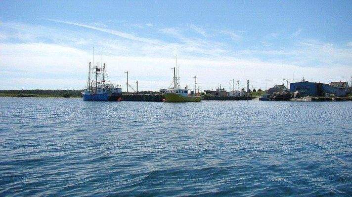 Fischerhafen Umgebung