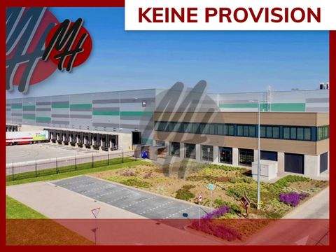 Dortmund Halle, Dortmund Hallenfläche