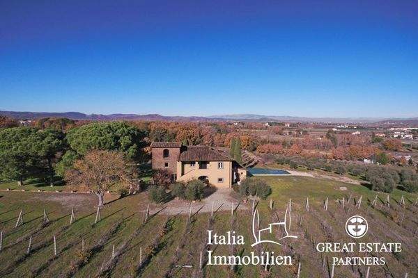 Schöne helle Villa in herrlicher Lage mit Türmchen, Pool, Weinberg und Olivenhain