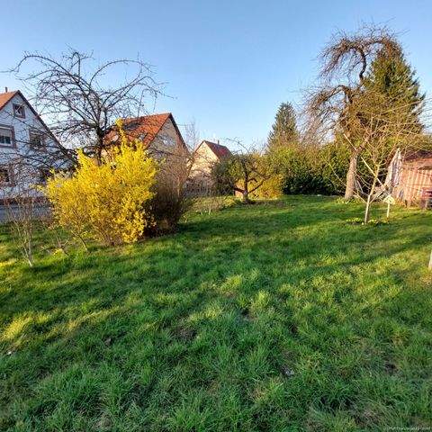 Mönchberg Grundstücke, Mönchberg Grundstück kaufen