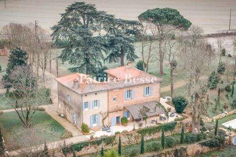 Albi Häuser, Albi Haus kaufen