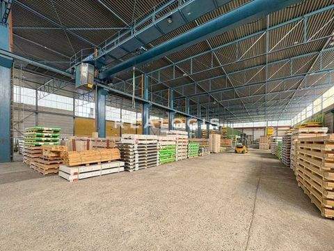 Germering Halle, Germering Hallenfläche