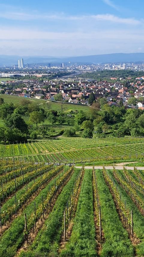 Weil am Rhein Häuser, Weil am Rhein Haus kaufen