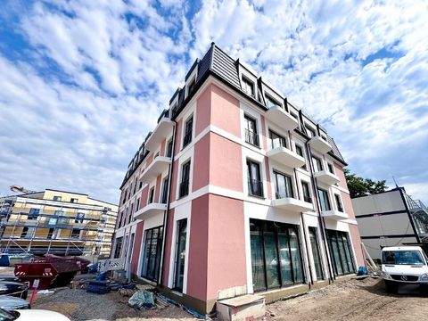 Dresden Ladenlokale, Ladenflächen 