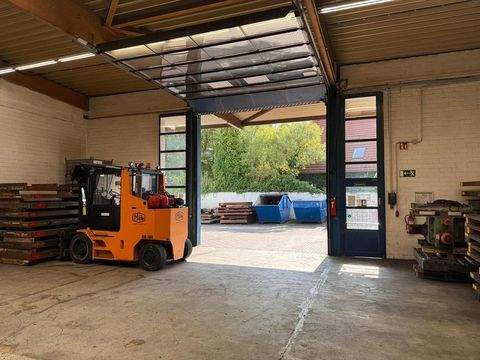 Kerpen Halle, Kerpen Hallenfläche