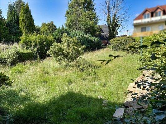 der Garten wartet auf kreative Ideen zur Neugestaltung