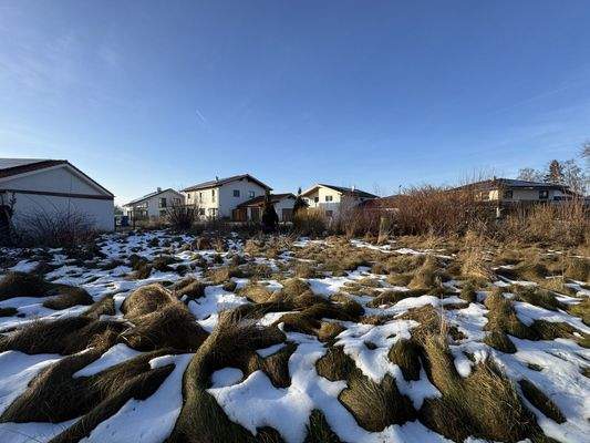 Grundstück - Blick von Nordost