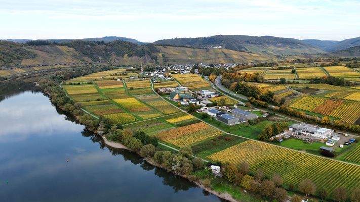 Blick auf Pünderich