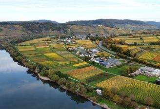 Blick auf Pünderich