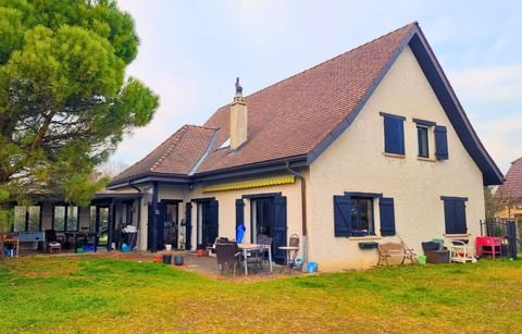 Borex Häuser, Borex Haus kaufen