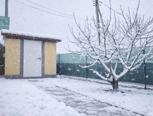 Gartenhütte KI-Bearbeitet