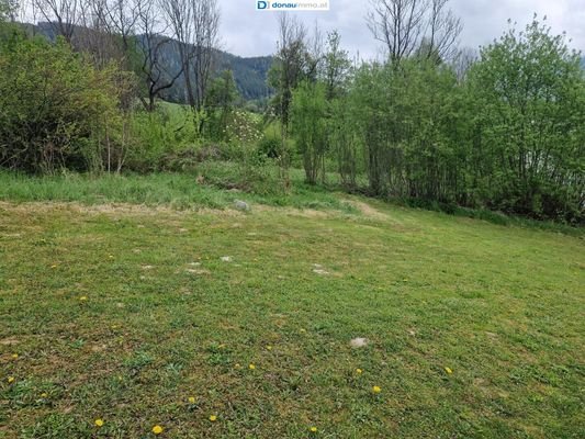 Bild 13